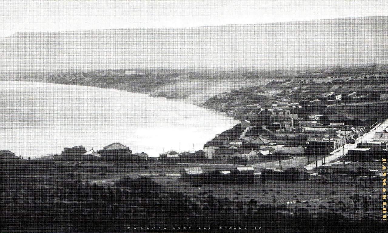 CAP FALCON PAR MONNERET   (10).JPG